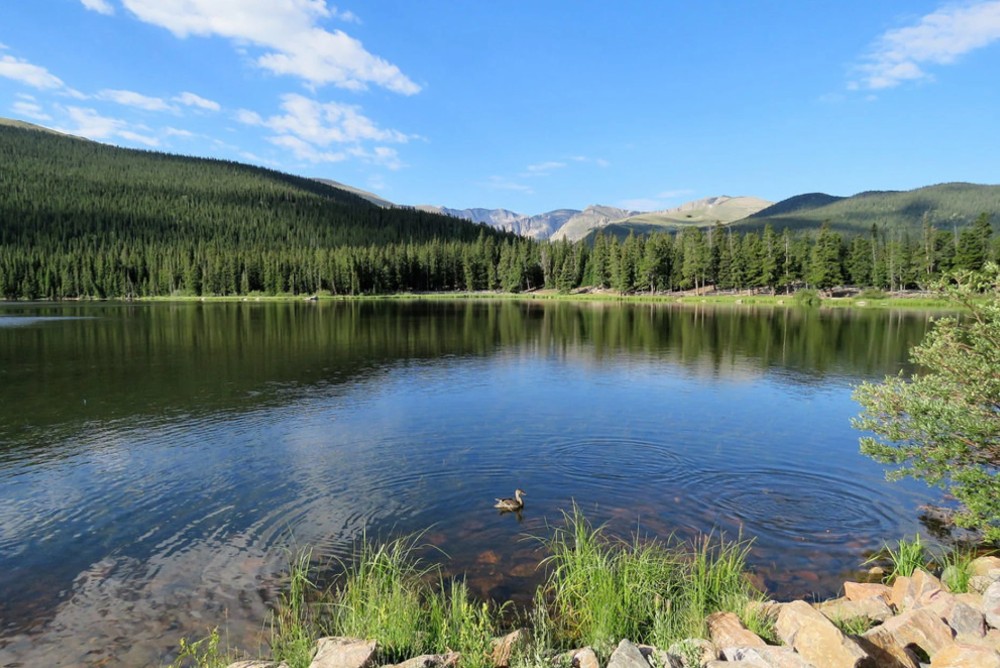 Premiere Airbnb Management in Evans, Colorado