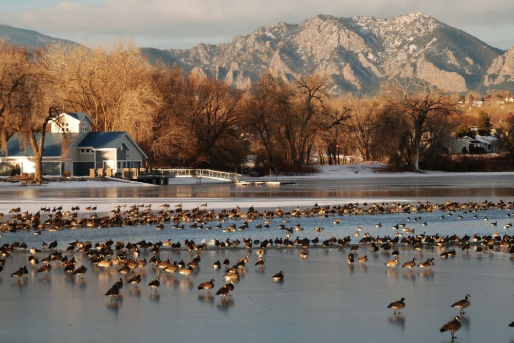 Premiere Airbnb Management in Lafayette, Colorado