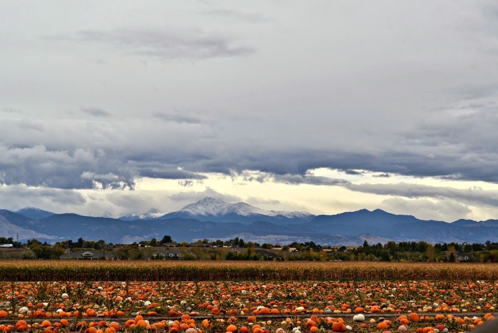 Vacation Rental Property Management in Erie, Colorado