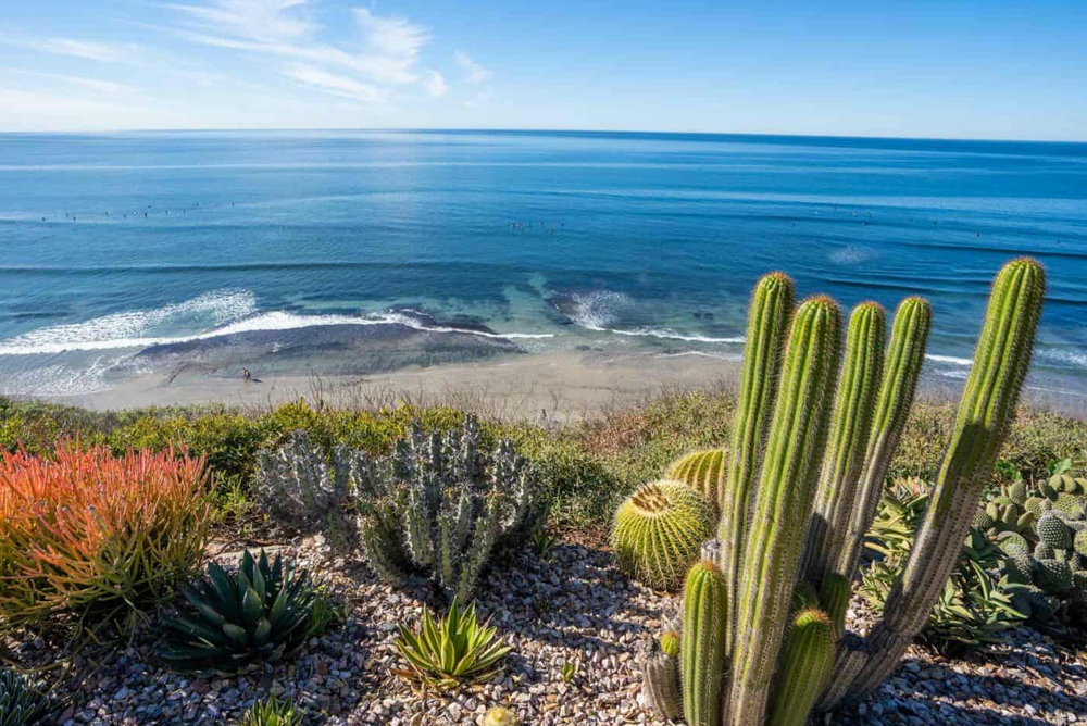 Full-Service Airbnb Management in Encinitas, California