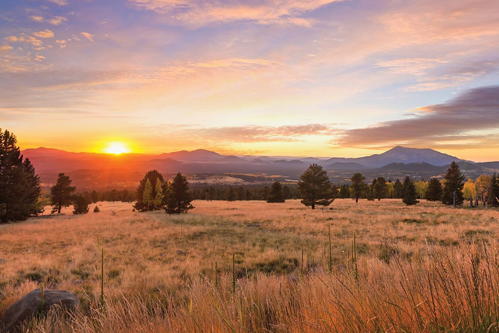 Full-Service Airbnb Management in Flagstaff, Arizona