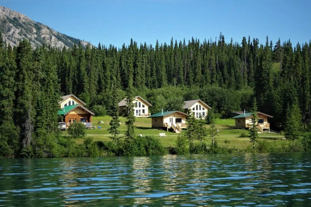 Airbnb Management in South Lakes, AK