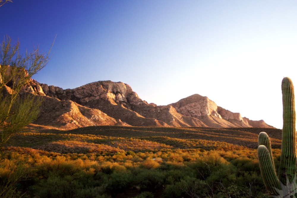 Vacation Rental Property Management in Oro Valley, Arizona