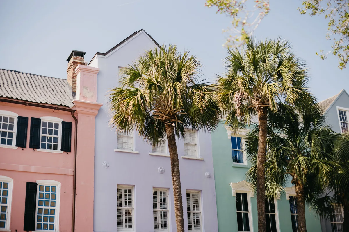 Portoro management fees, Pastel row houses behind palm trees on a Charleston street