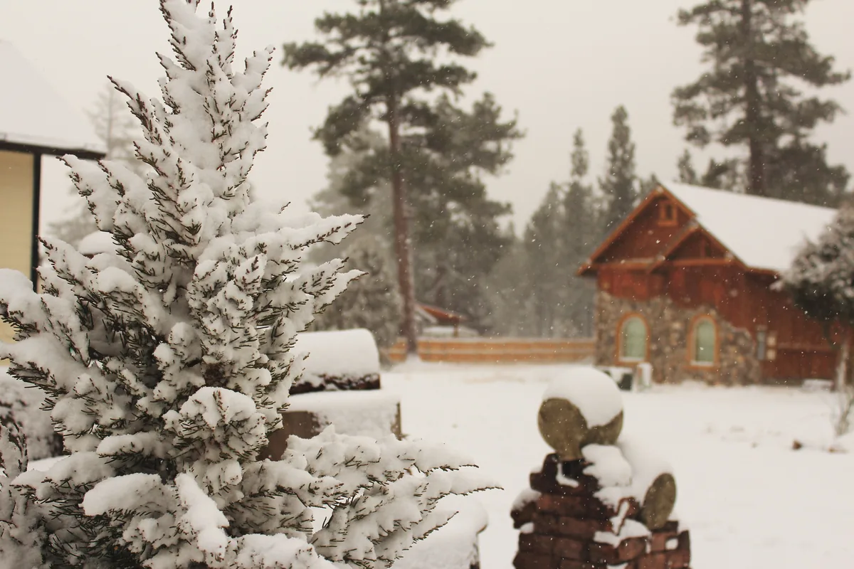 Sky High Cabins Review 2026: What It Costs and What to Ask