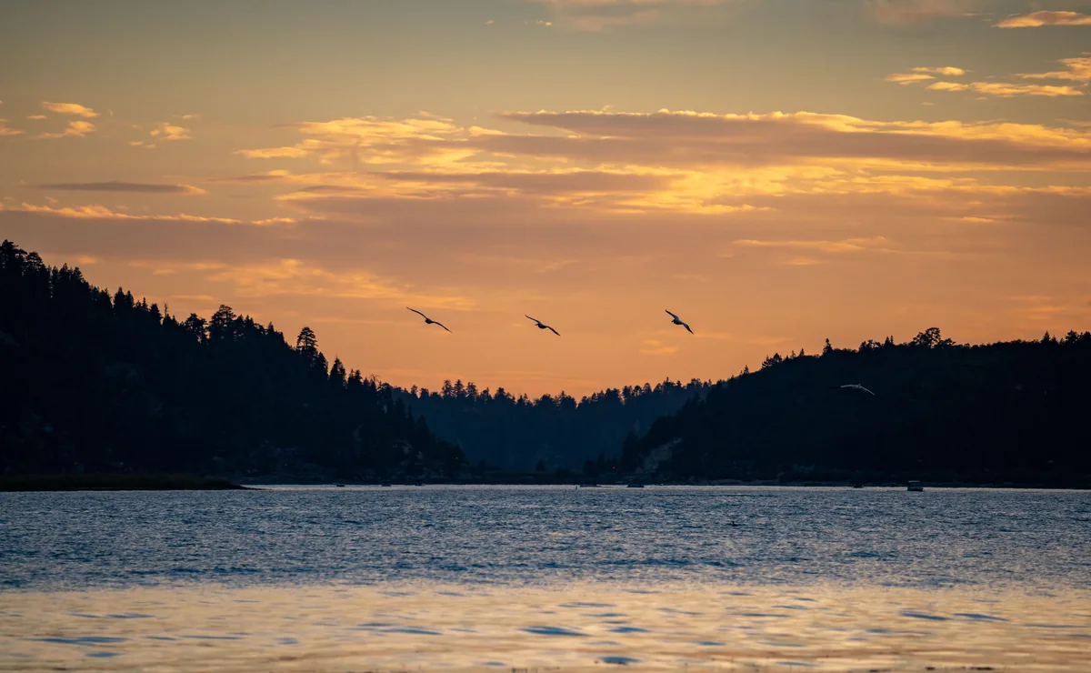 Sky High Cabins alternatives for Airbnb owners, Sunset over a mountain lake with birds crossing the sky