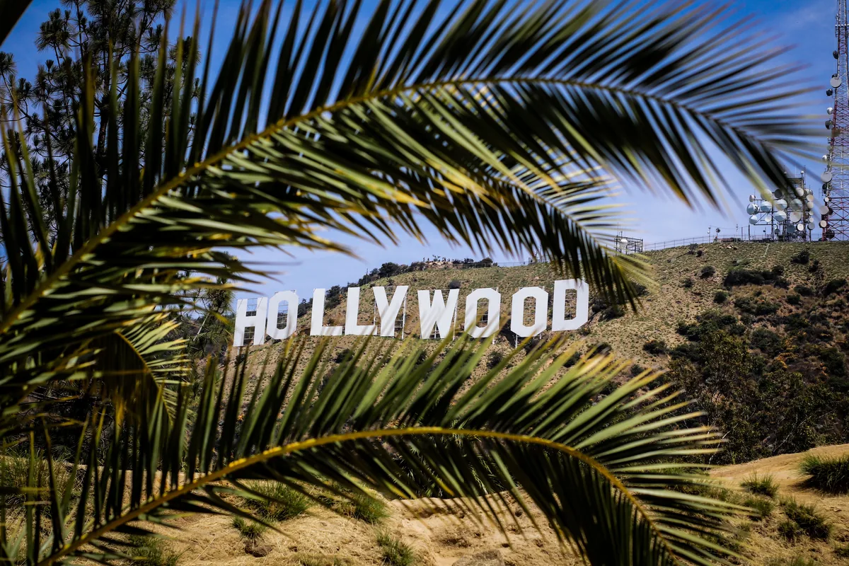 The Management Club alternatives for Airbnb owners, Hollywood sign on its hillside seen through palm leaves