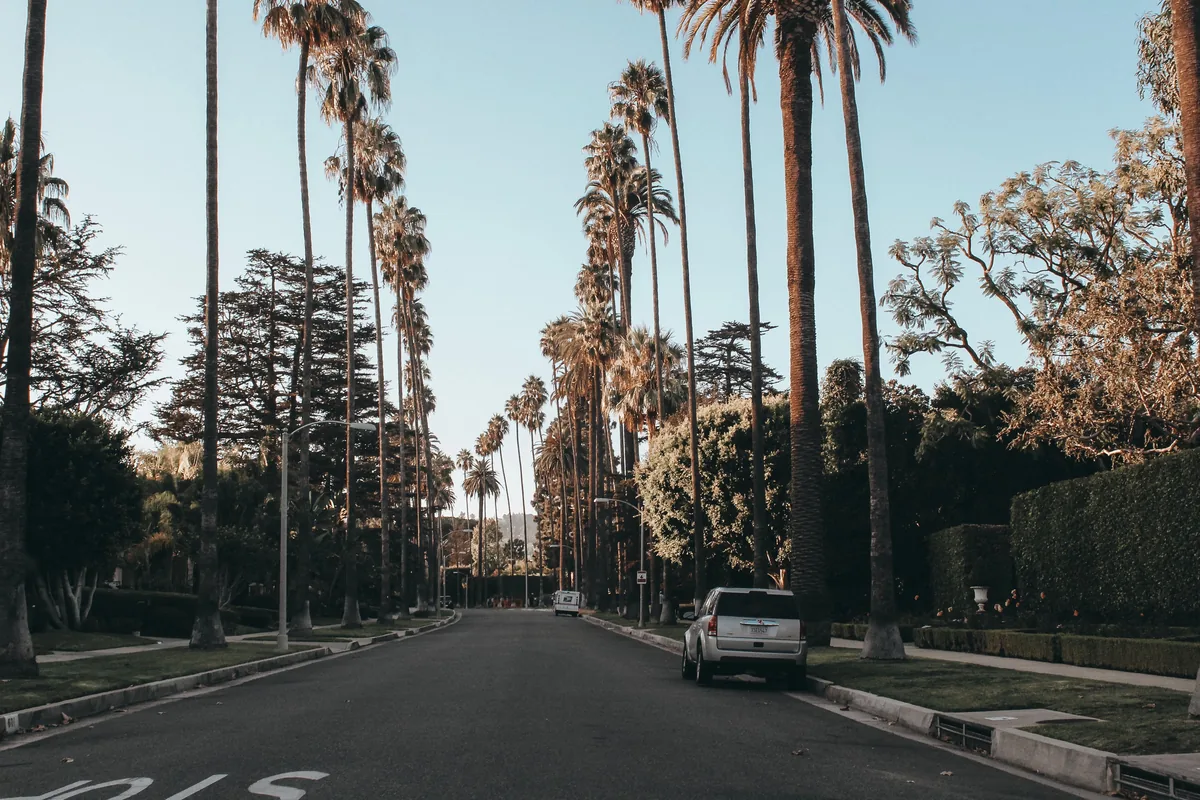 The Management Club management fees, Residential street lined with tall palm trees in Los Angeles