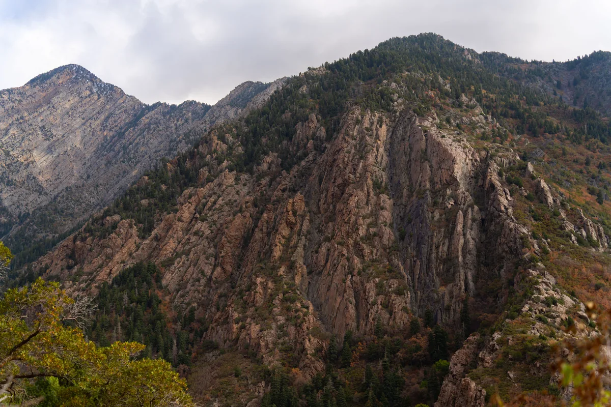 Moose Management management fees, Rugged Utah canyon walls with autumn colour on the slopes