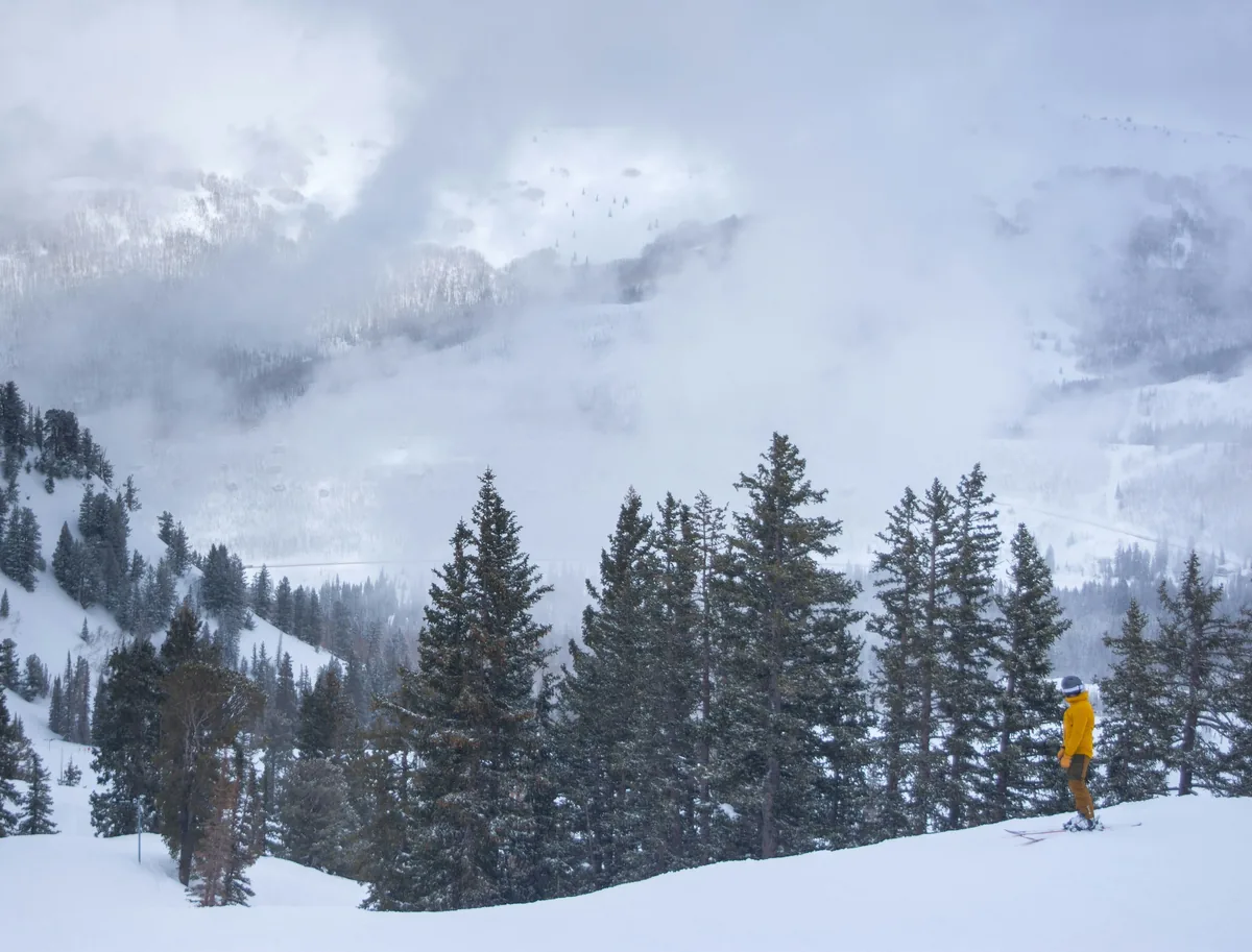 Moose Management alternatives for Airbnb owners, Lone skier in a yellow jacket on a snowy slope among pines