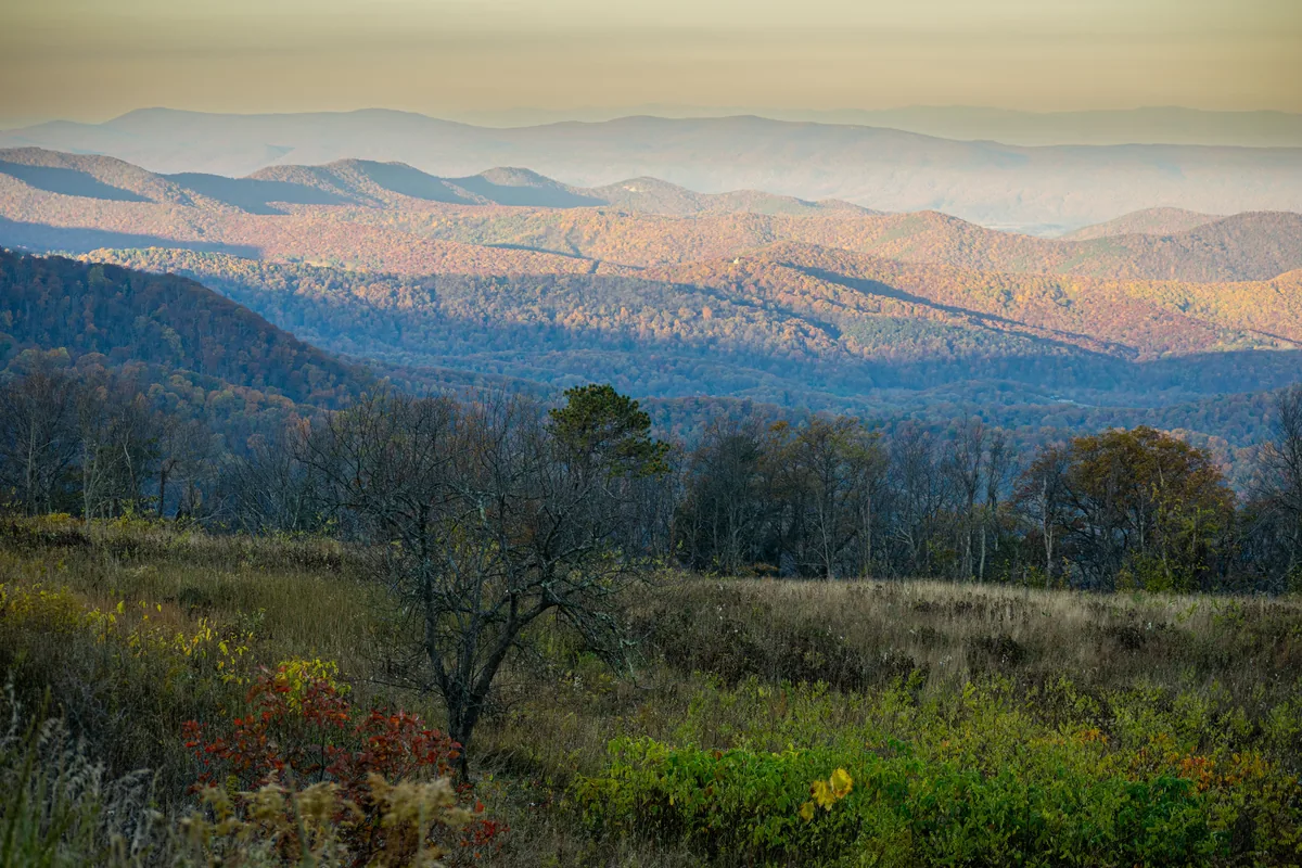 All Belong Co management fees, Autumn colour spreading across the Blue Ridge above an open meadow