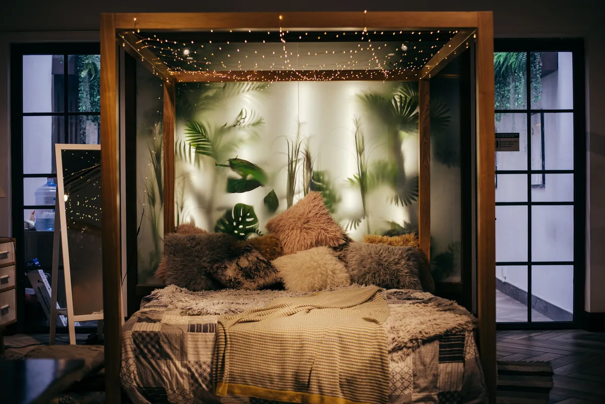 Fairly management fees, Bed dressed with string lights and a plant backdrop