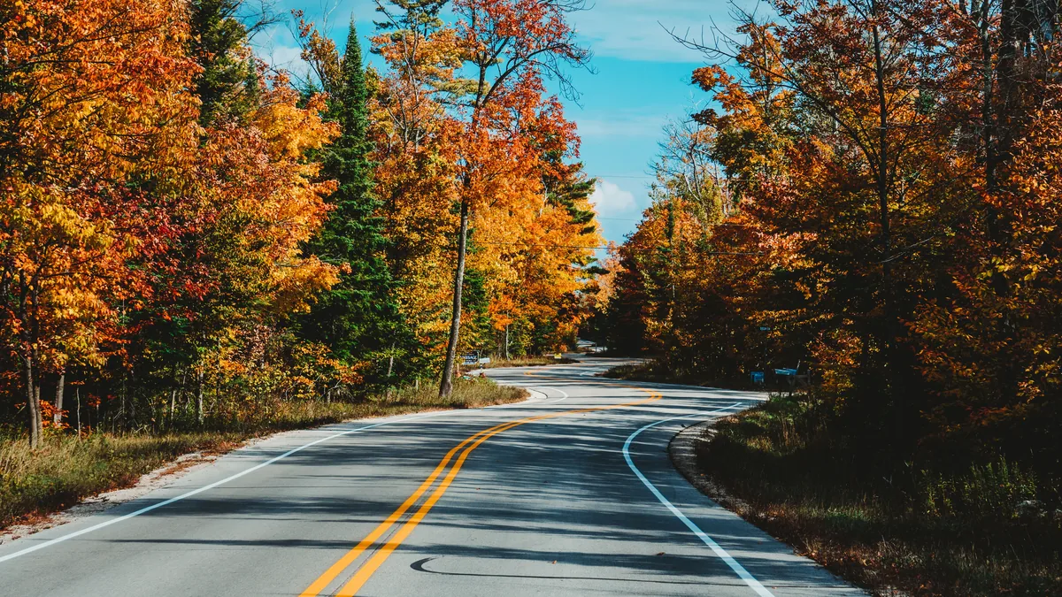 HostAid alternatives for Airbnb owners, Tree-lined road in autumn in a seasonal rental market