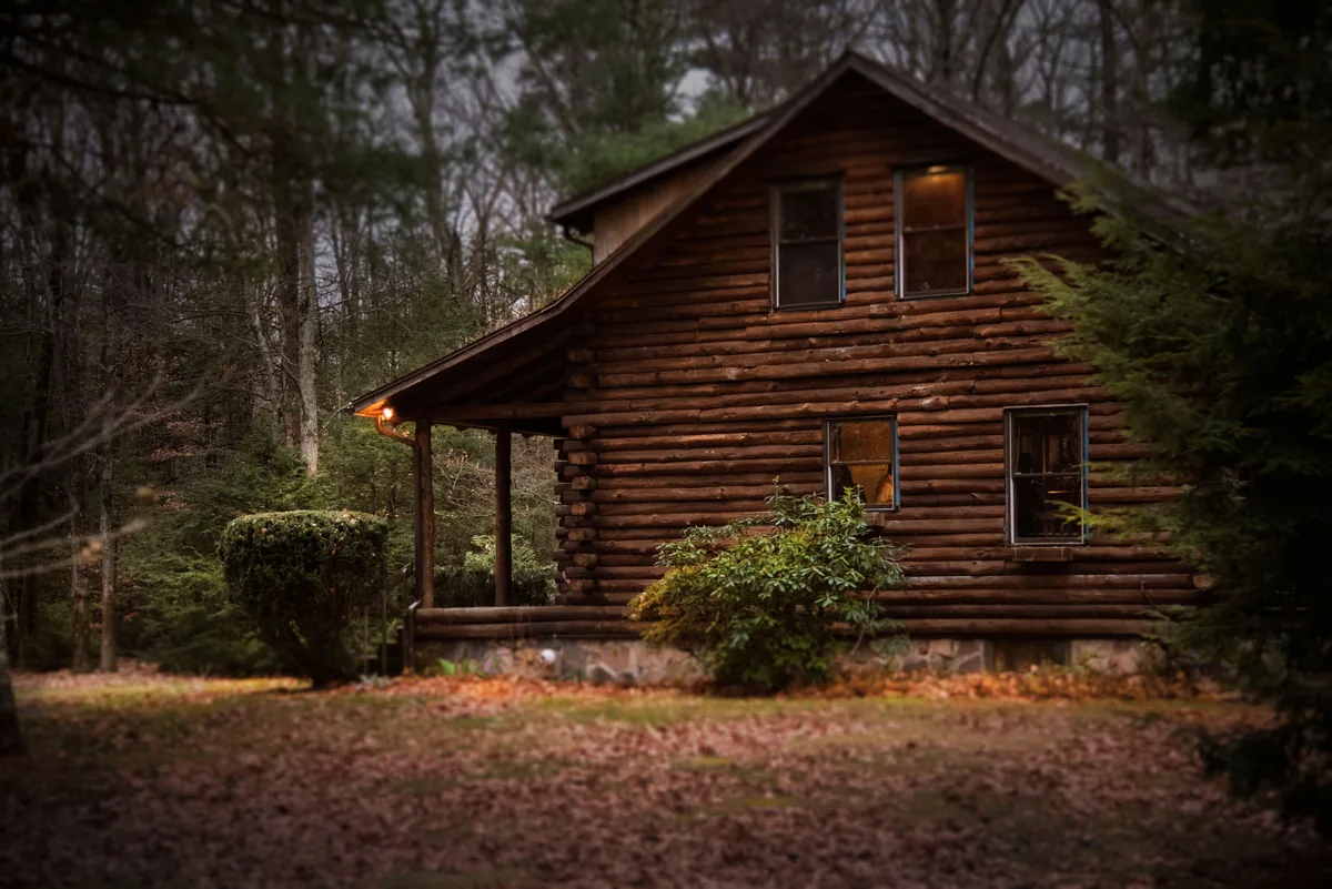 SkyRun management fees, Timber log cabin standing among trees