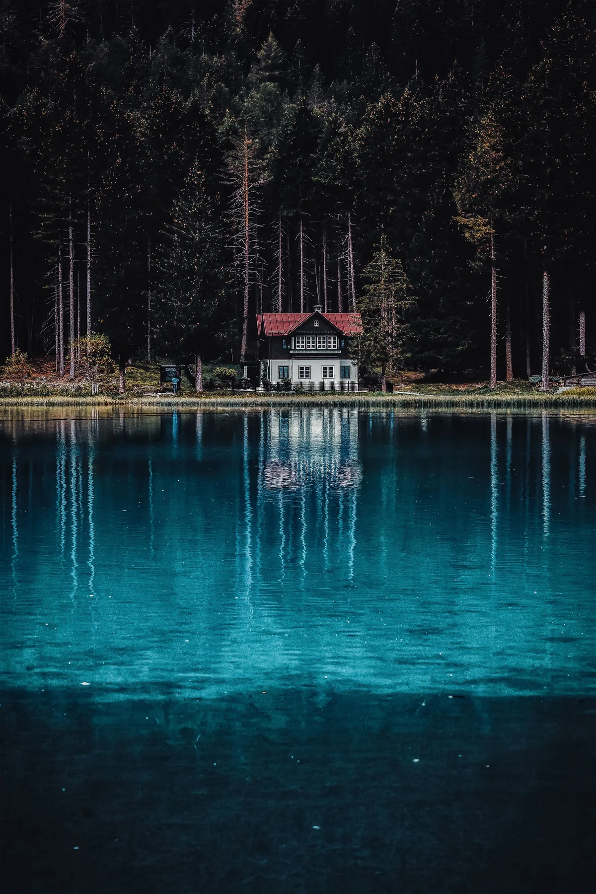 SkyRun alternatives for Airbnb owners, Small cabin on a pine-fringed lake shore in low light