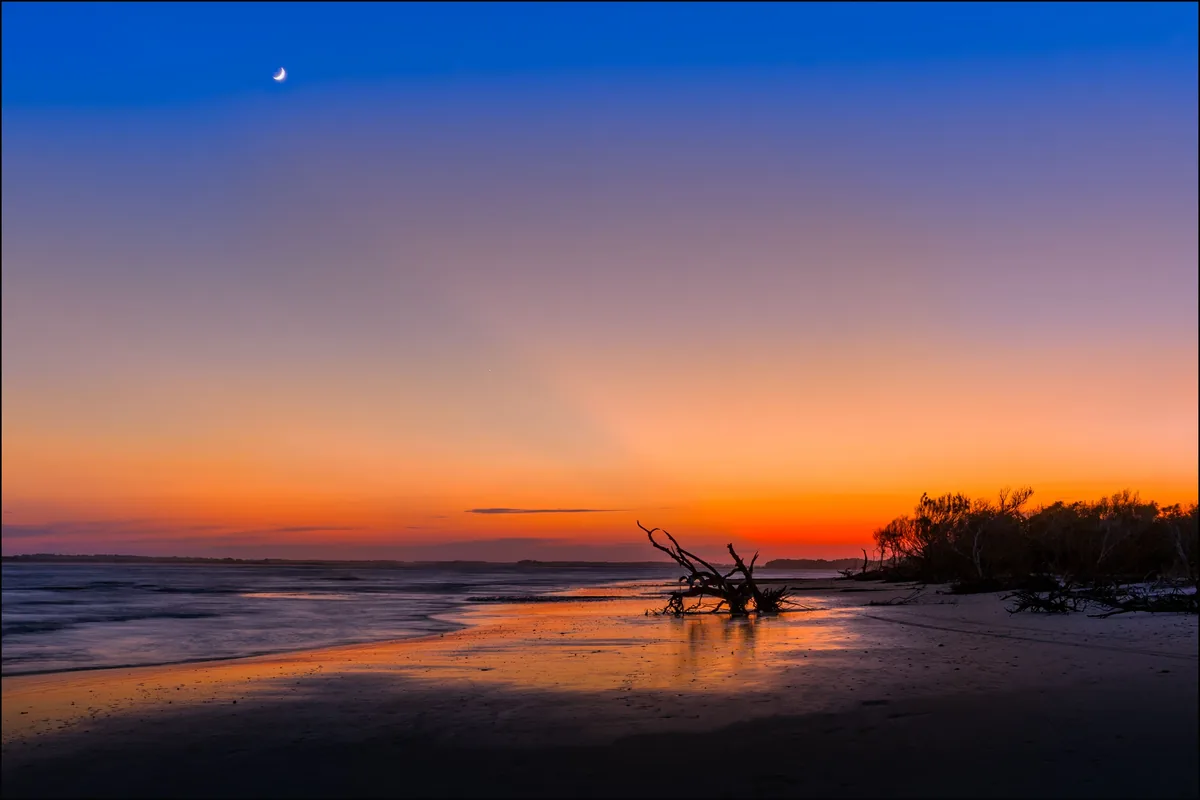 StayDuvet management fees, Driftwood on the sand under a South Carolina sunset