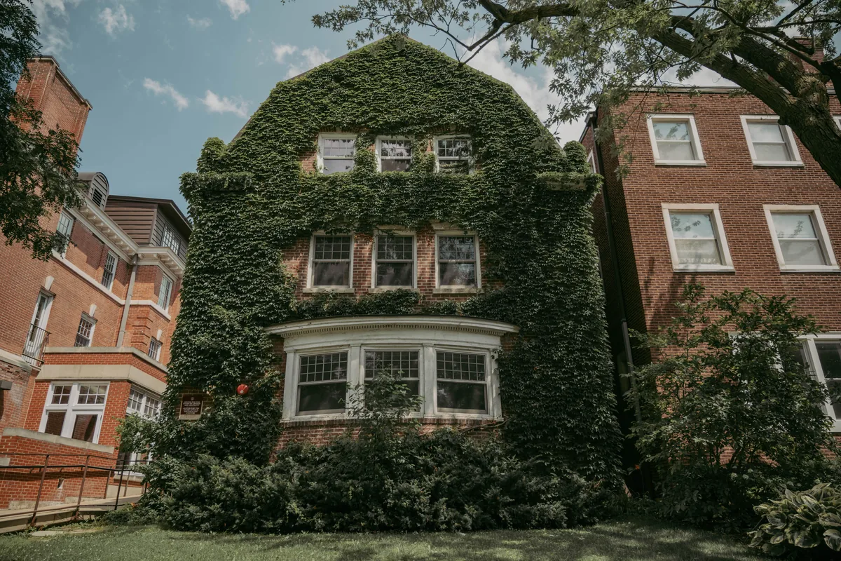 ChicagoHostCo alternatives for Airbnb owners, Brick house almost covered in ivy on a residential street