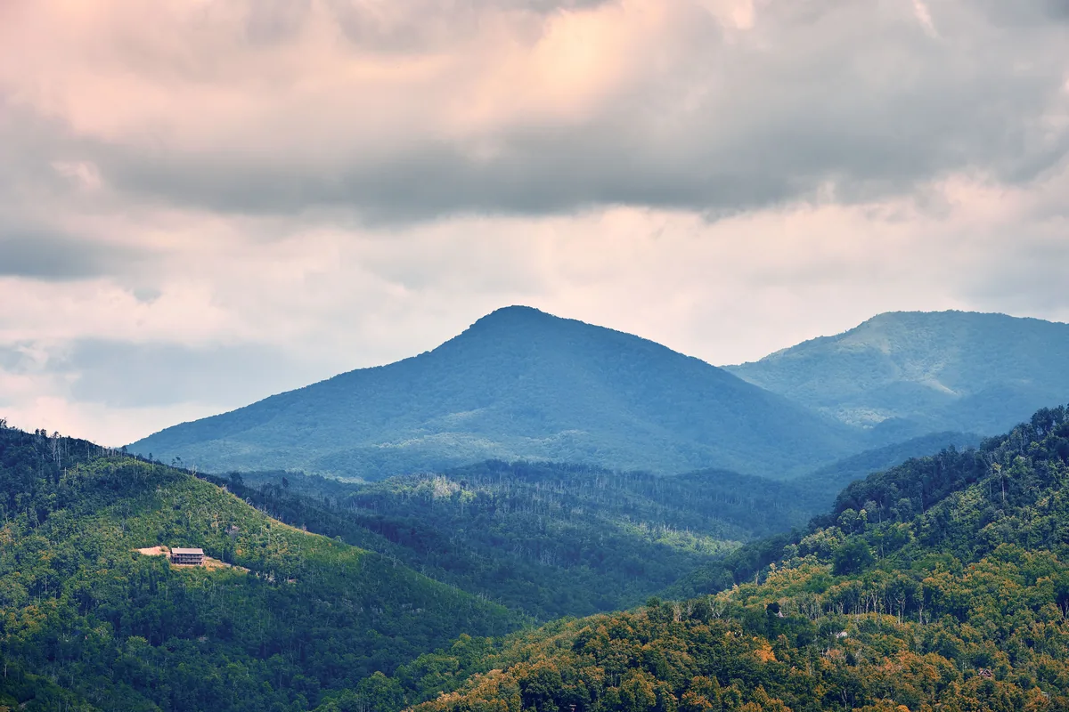 Bear Tracts alternatives for Airbnb owners, Layered blue ridges covered in summer forest