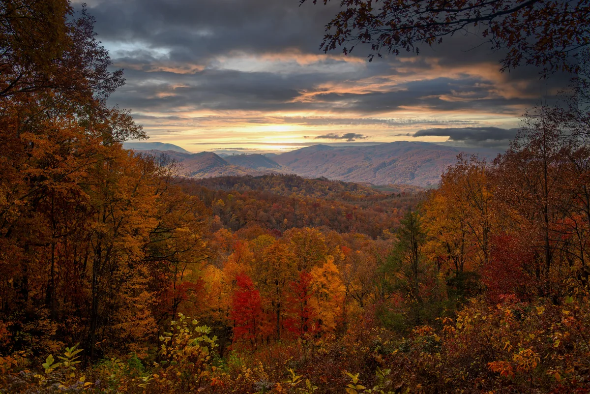Bear Tracts management fees, Autumn treetops in the foreground of a Smoky Mountain overlook at sunset