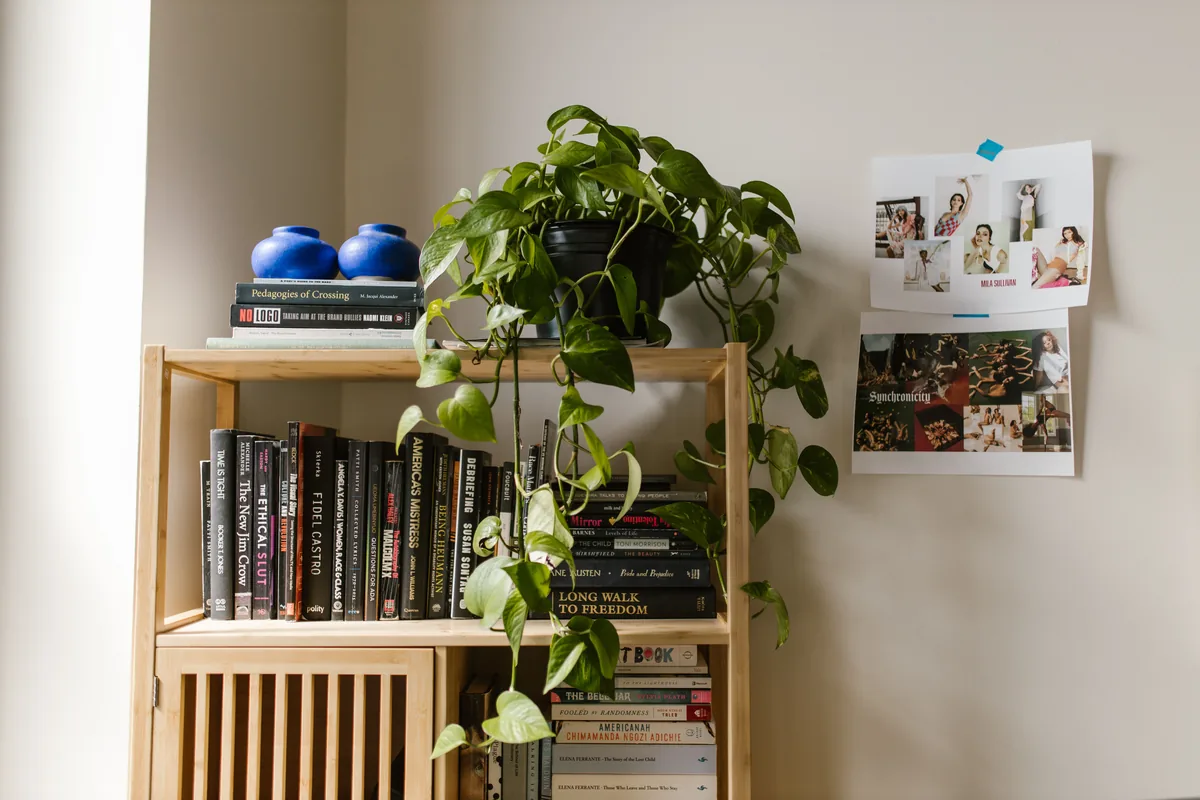 A wooden shelf with books, a potted green plant, and decor items indoors