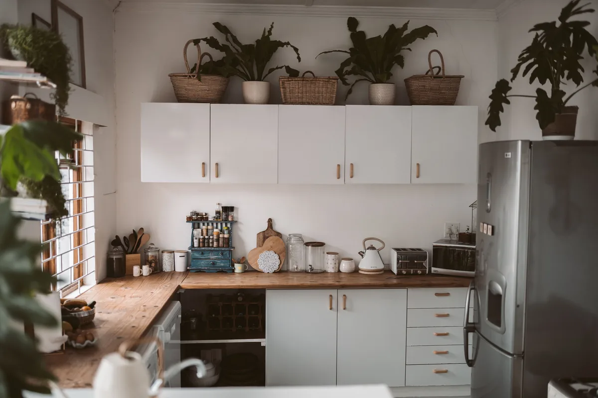 Kitchen with plants above the units — 6 Best Vacation Rental Management Companies in Clarksville, Tennessee