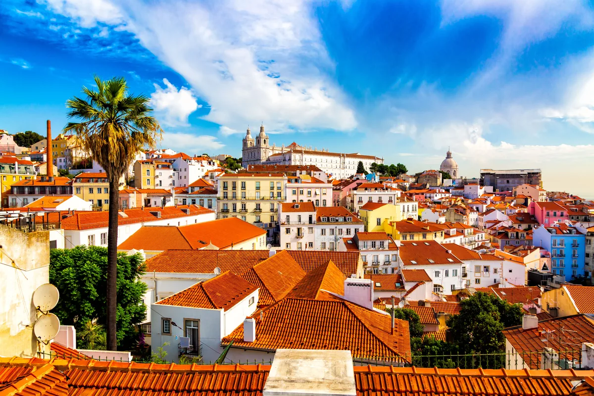 Whome alternatives for Portuguese owners, Lisbon rooftops and a palm tree under a blue sky