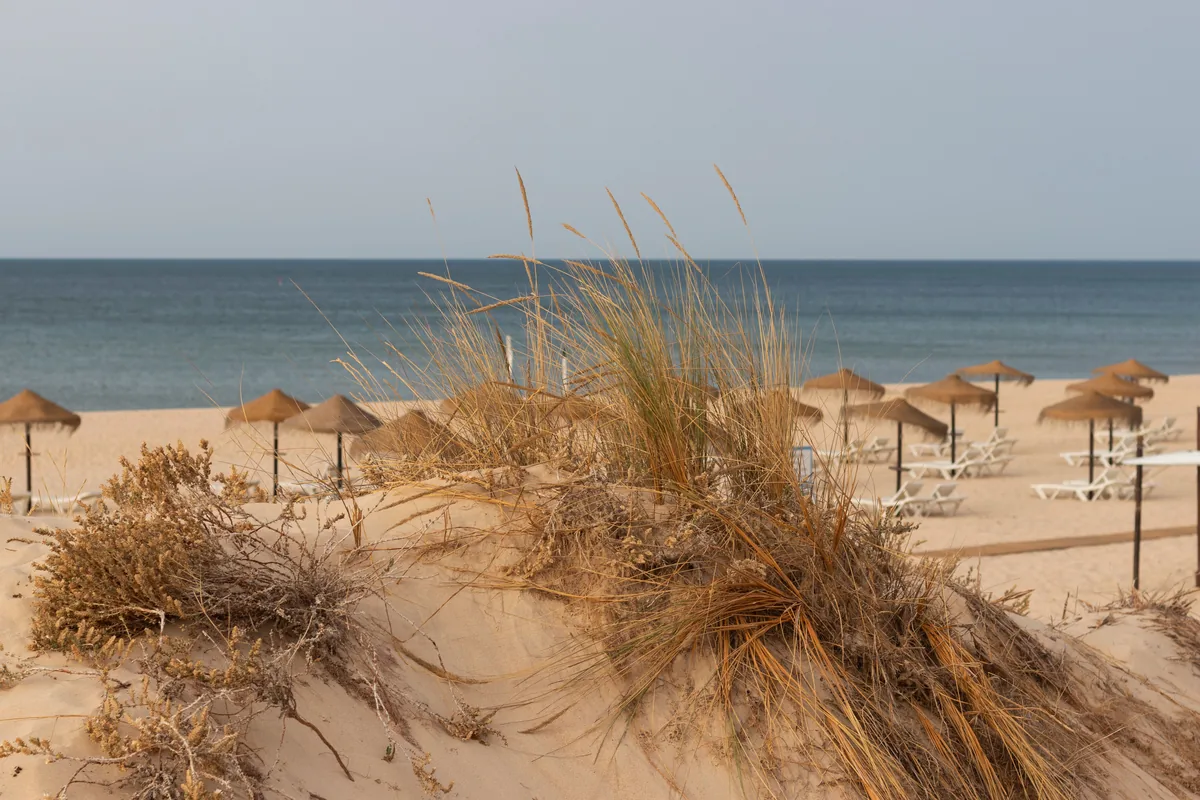 Home With A View management fees, Straw parasols and dune grass on an Alentejo beach