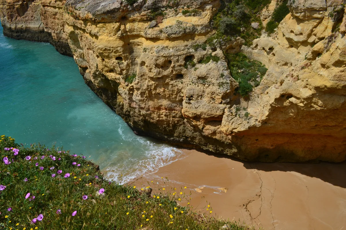 A sheltered cove beach below limestone cliffs on the Algarve coast