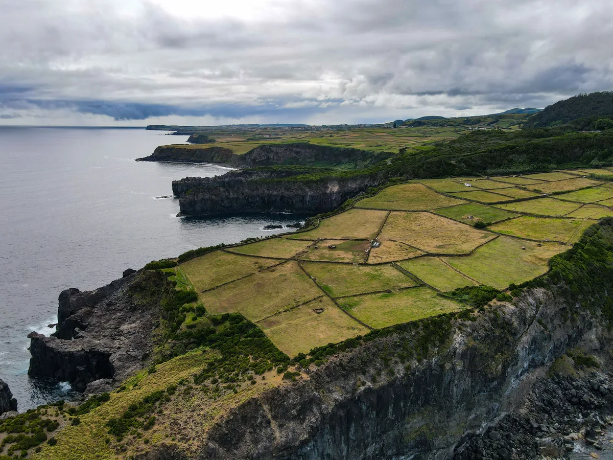 Walled green pastures running to basalt sea cliffs in the Azores