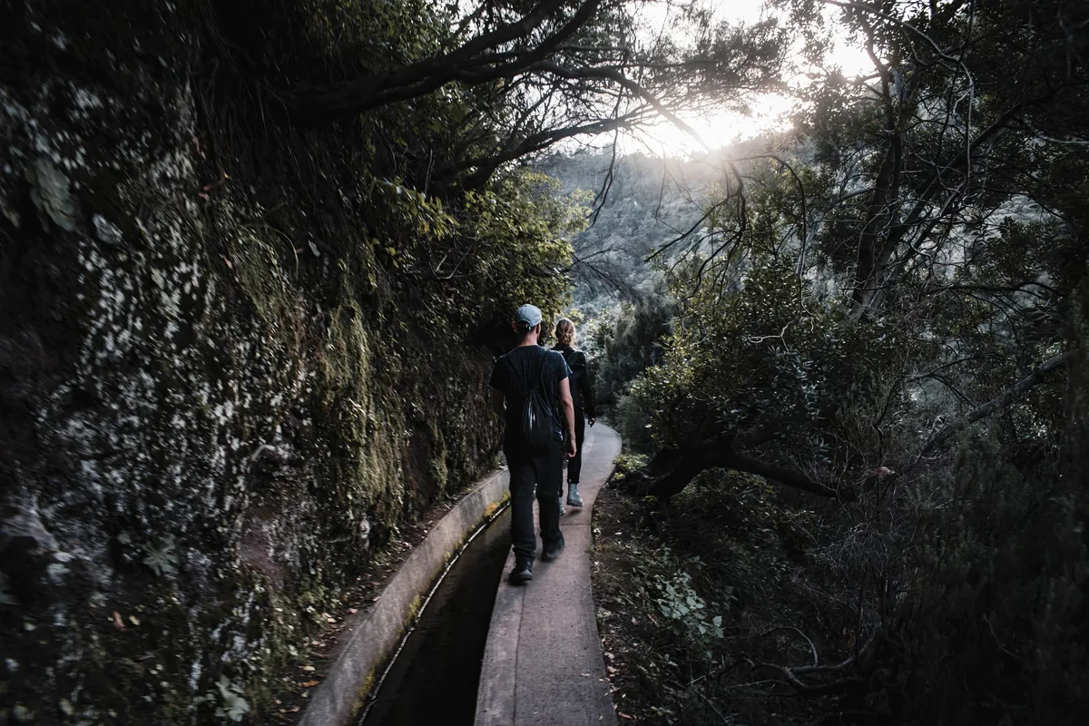 A levada channel and footpath cut into a wooded Madeira hillside