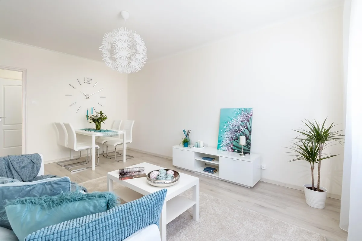 Airbnb Property Management in South Miami, Florida: 7 Companies Compared