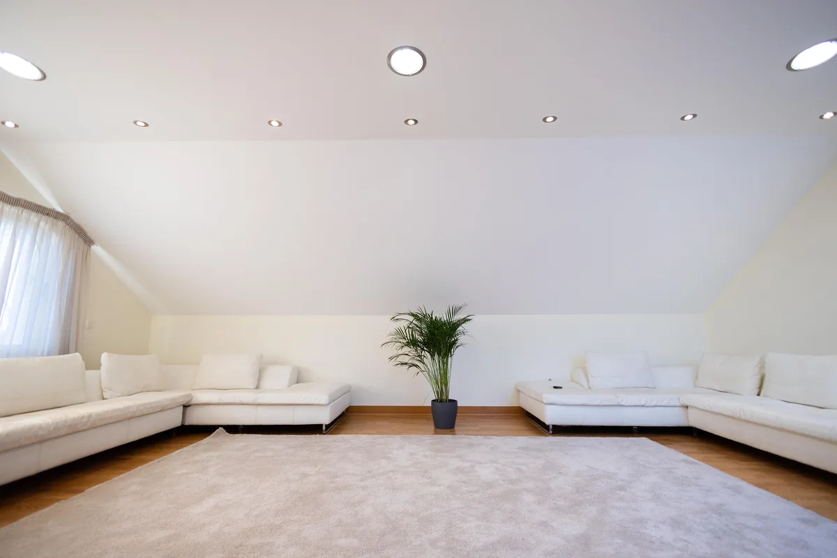 Living room with natural daylight
