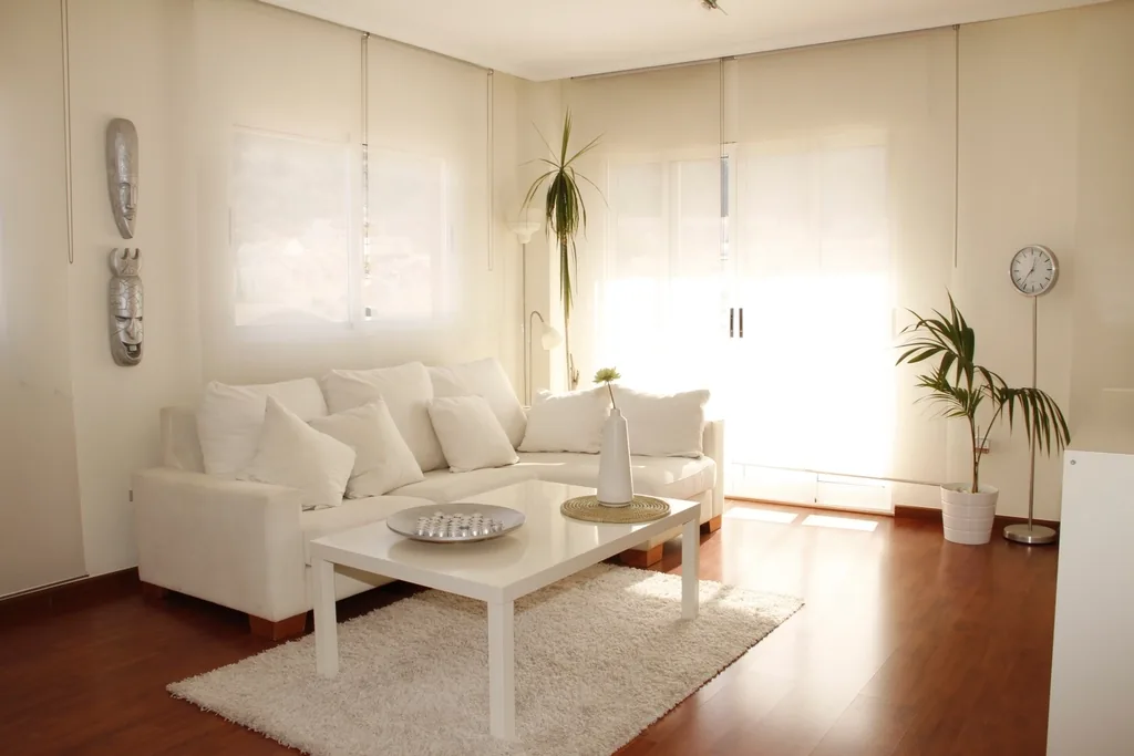 Living room with natural daylight