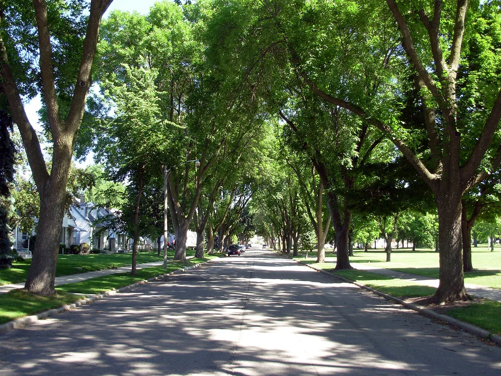 Airbnb Property Management in Worthington, Minnesota: 7 Companies Compared