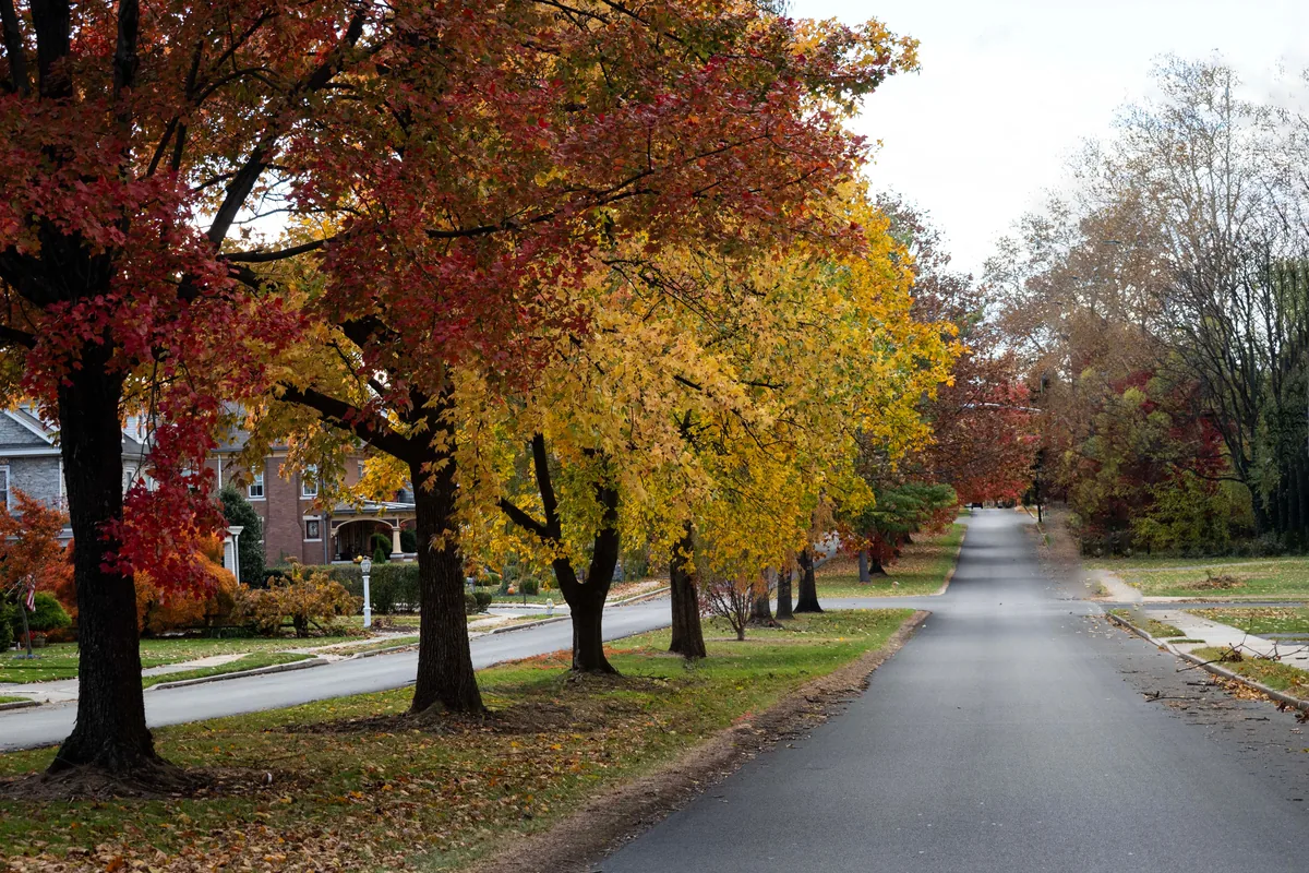 Airbnb Property Management in Mayfield Heights, Ohio: 7 Companies Compared