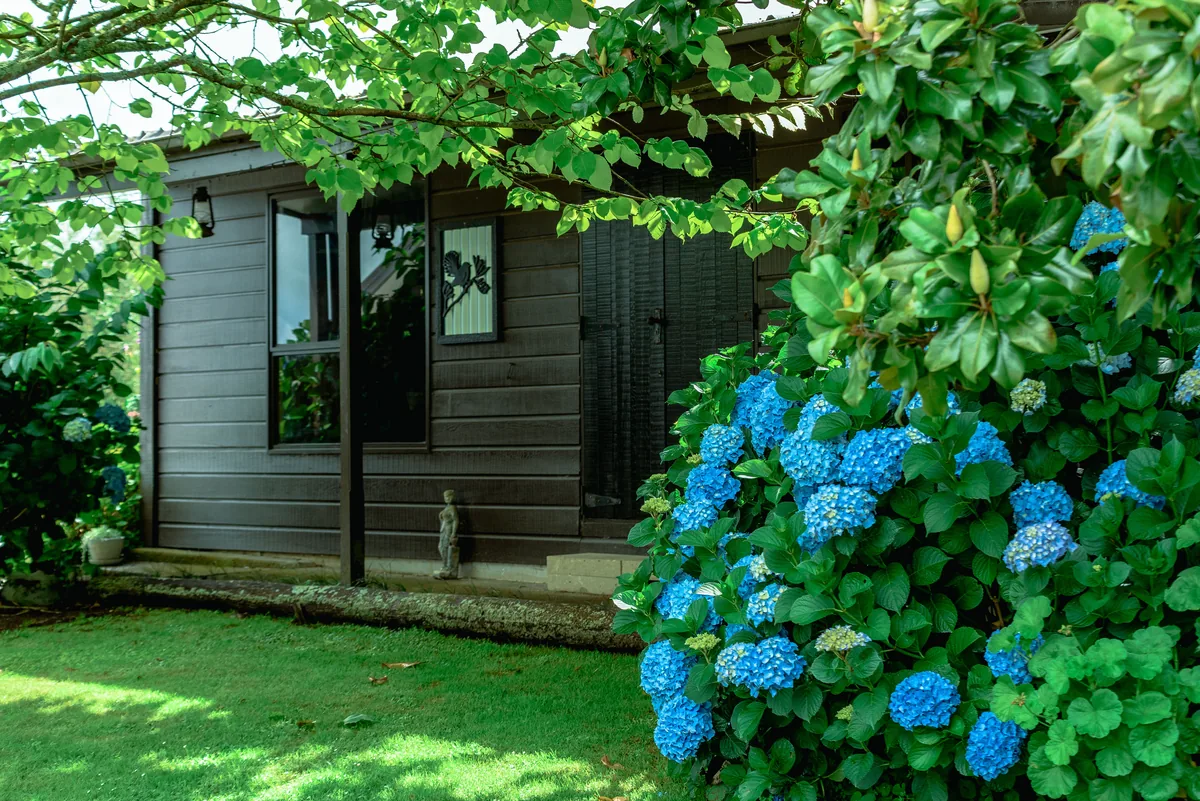 Coastal cottage interior in blue and white