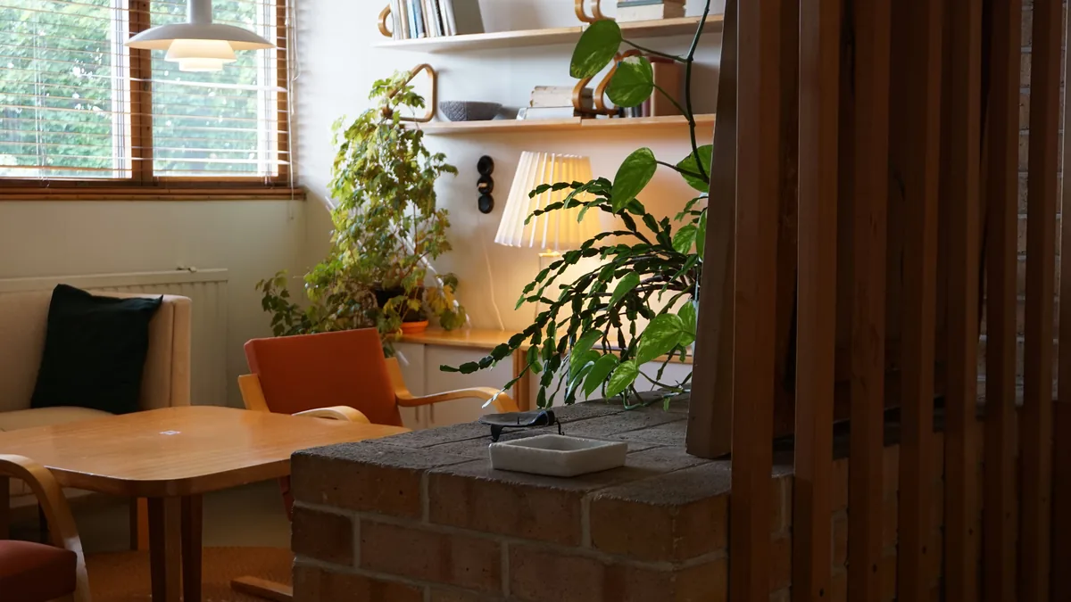 Mid-century modern living room