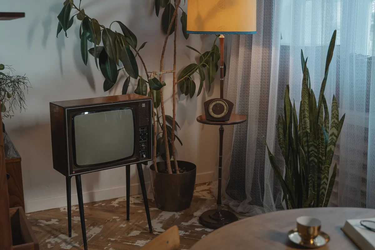 Mid-century modern living room