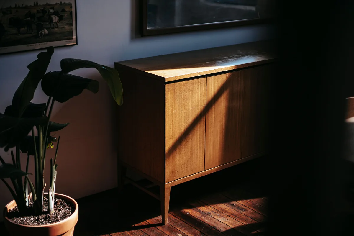 Mid-century modern living room