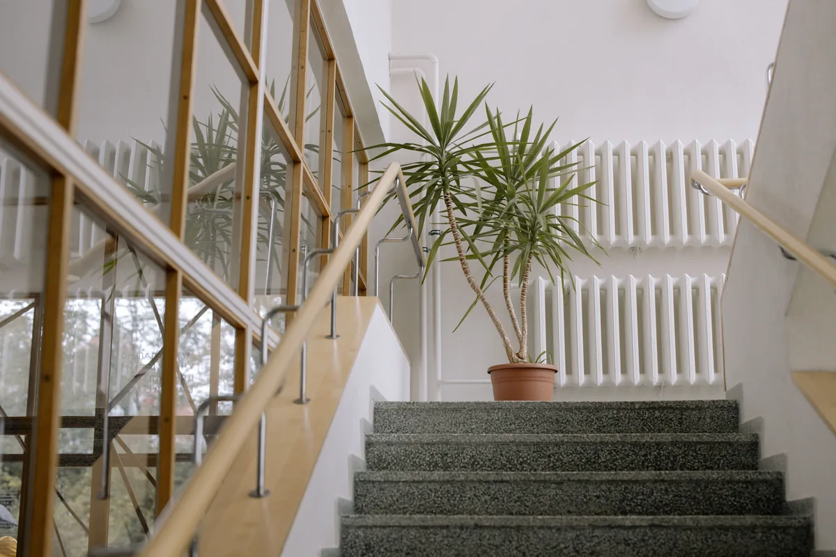 Interior staircase