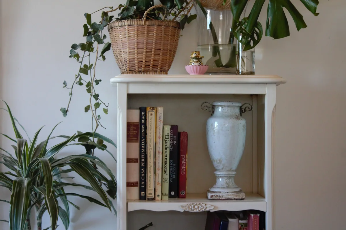 Living room with built-in bookshelves