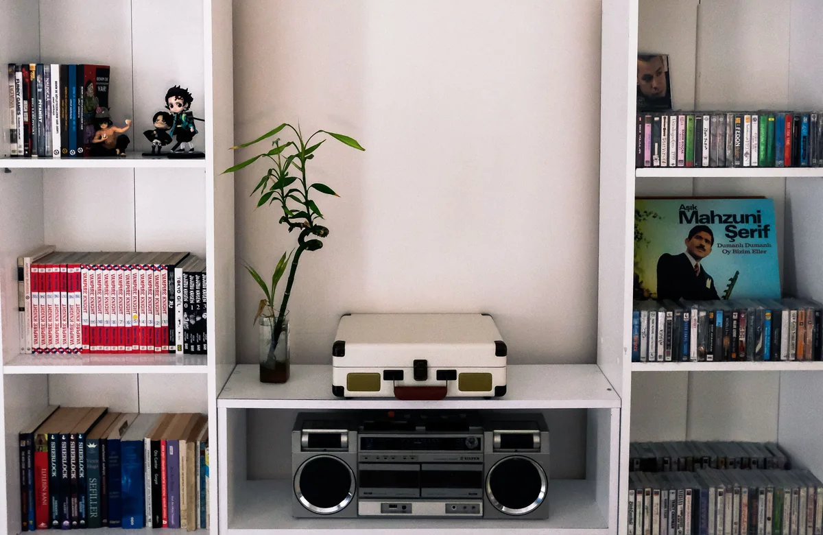 Living room with built-in bookshelves