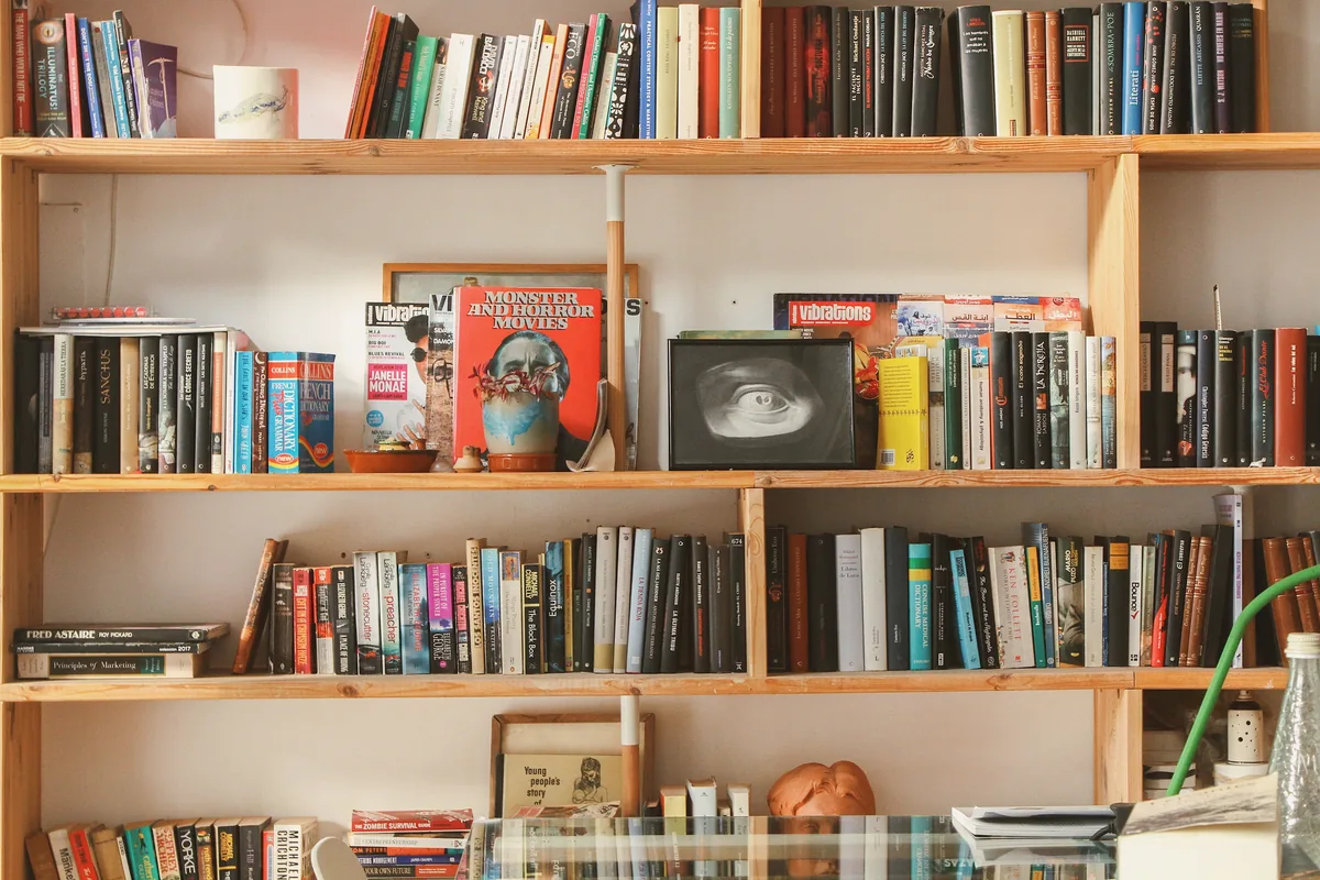 Living room with built-in bookshelves