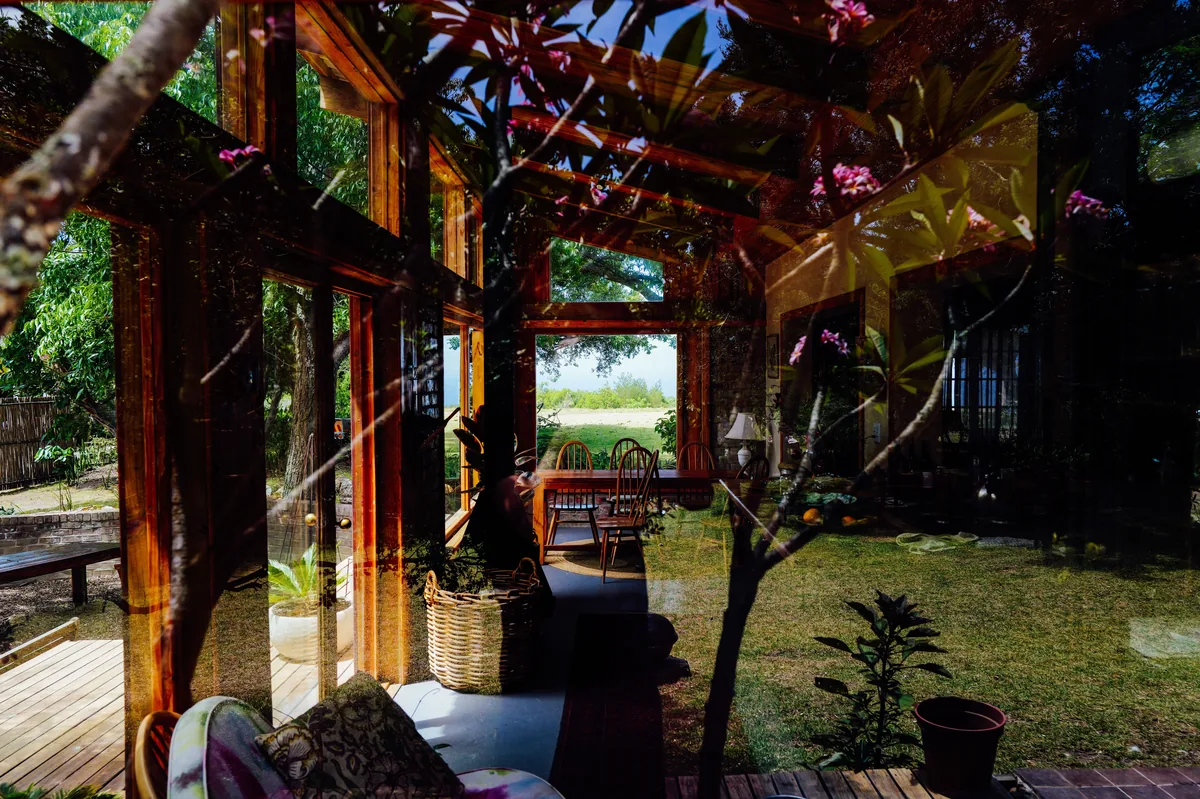 Sunroom with plants and windows