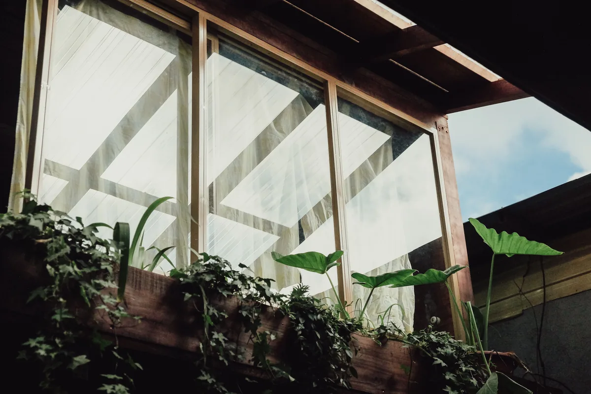 Sunroom with plants and windows