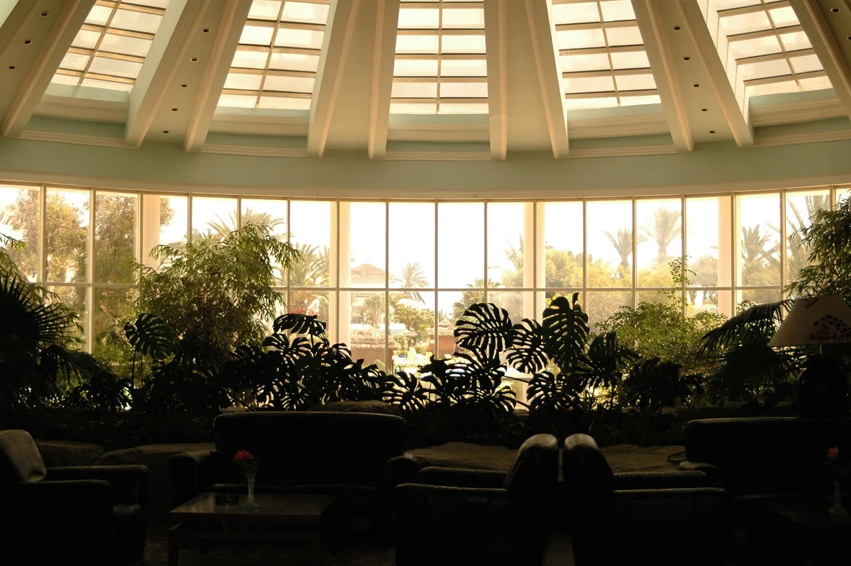 Sunroom with plants and windows