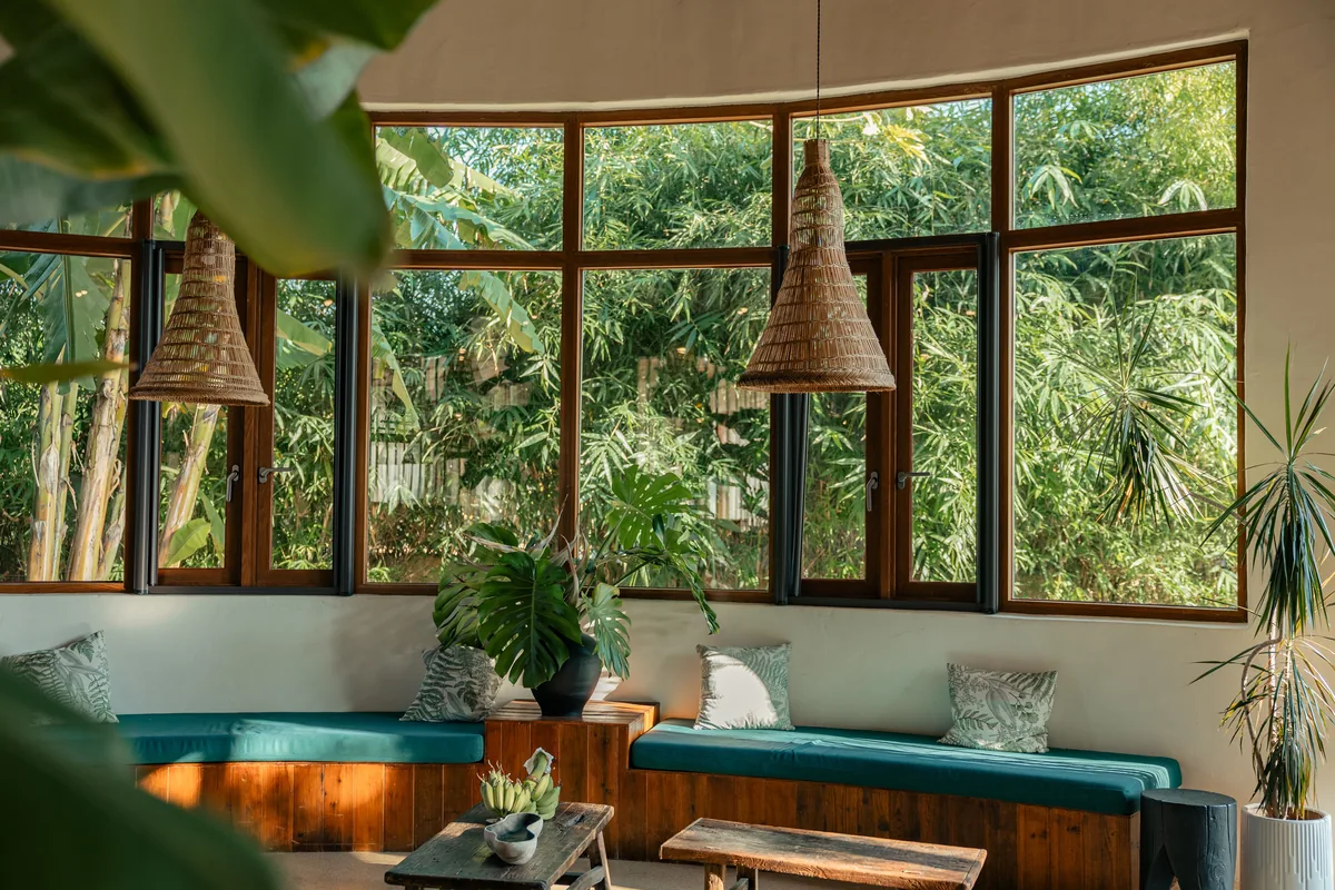 Sunroom with plants and windows