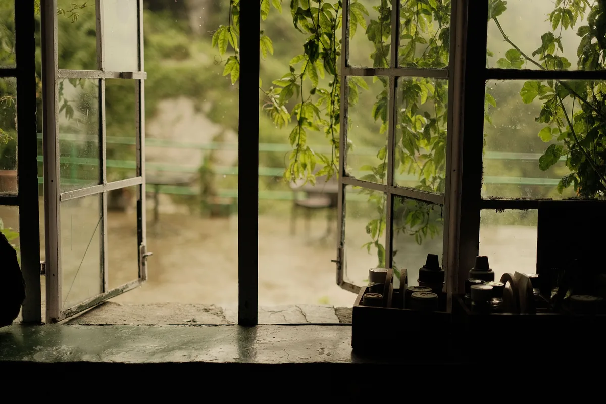 Sunroom with plants and windows