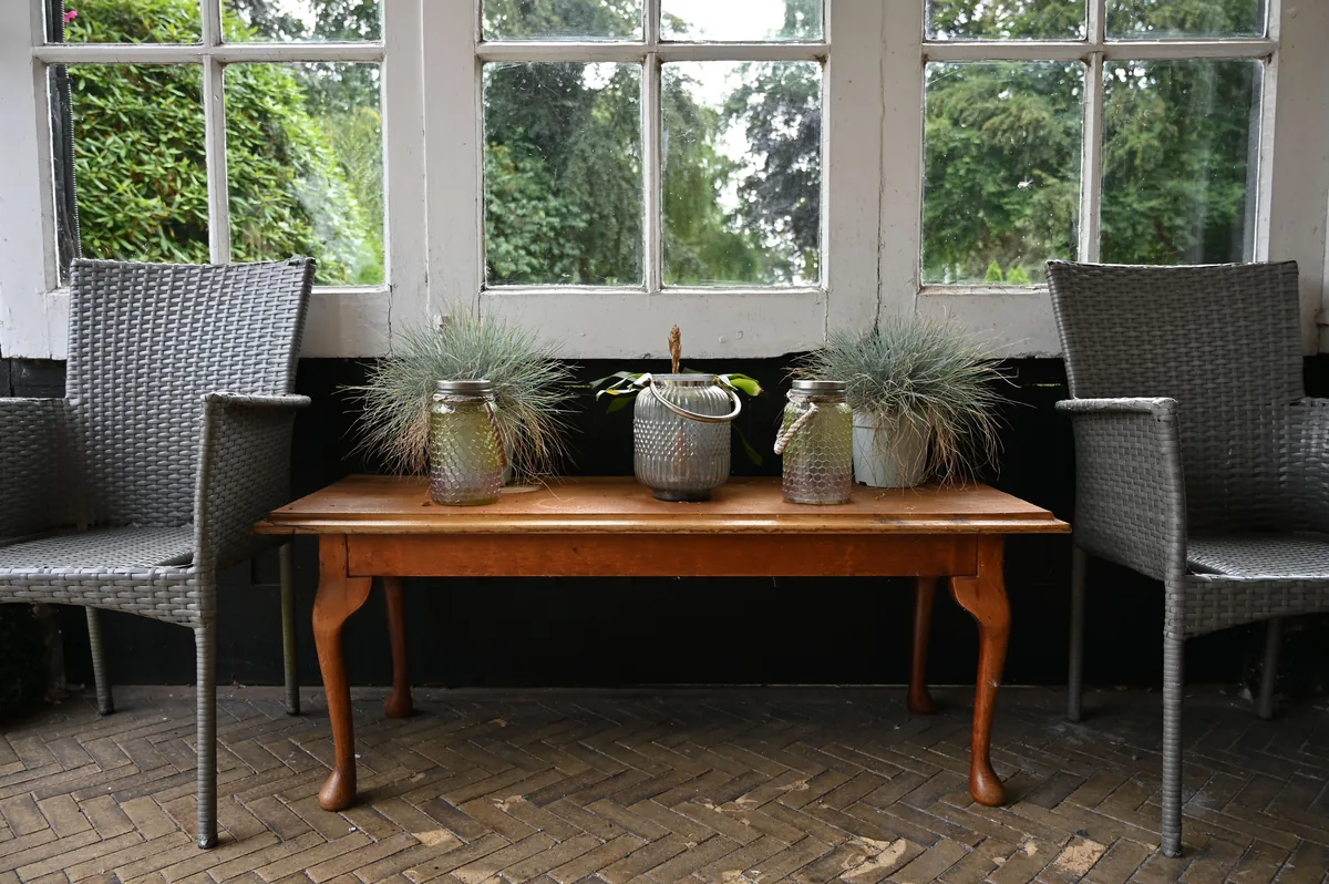 Sunroom with plants and windows