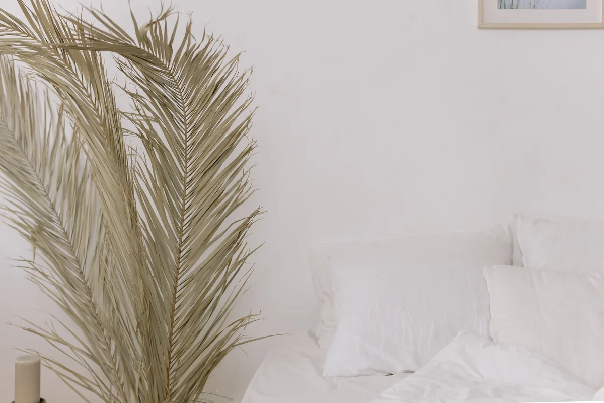 Best 7 Airbnb Management Companies in Wade Hampton, South Carolina